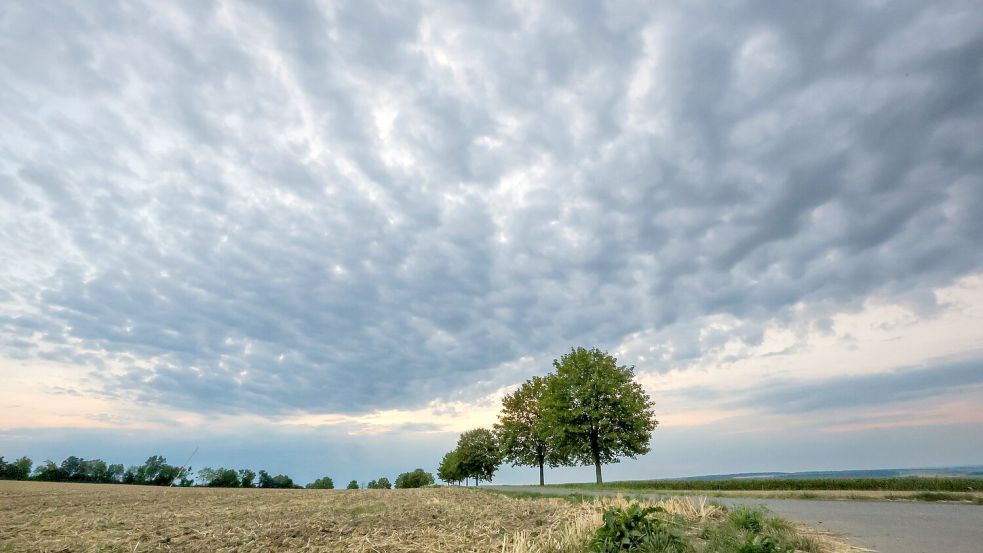 In Teilen Deutschlands besteht erneut Unwettergefahr. (Archivbild) Foto: Thomas Warnack/dpa