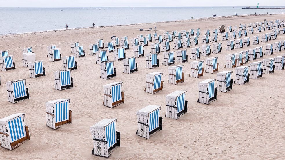 An den Küsten Rostocks finden Besucher und Rettungsschwimmer Knoblauch. (Symbolbild) Foto: Jens Büttner