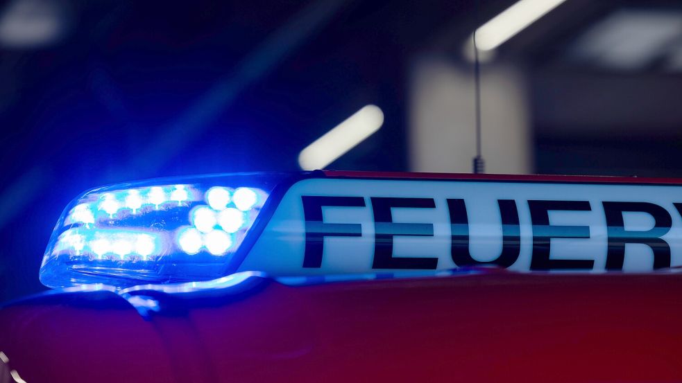 Weil er ins Gefängnis wollte, hat ein 80 Jahre alter Mann in Bremen zwei Parzellen in Brand gesetzt. Doch sein Plan ging nicht auf. Foto: Rolf Vennenbernd / dpa