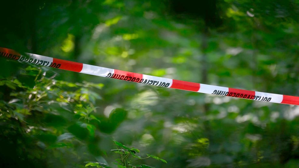 Der Fund in einem Wald bei Berlin hat Ermittlungen ausgelöst, die bis hin zu mutmaßlichen Anschlagsplänen führen (Archivbild). Foto: Robert Michael