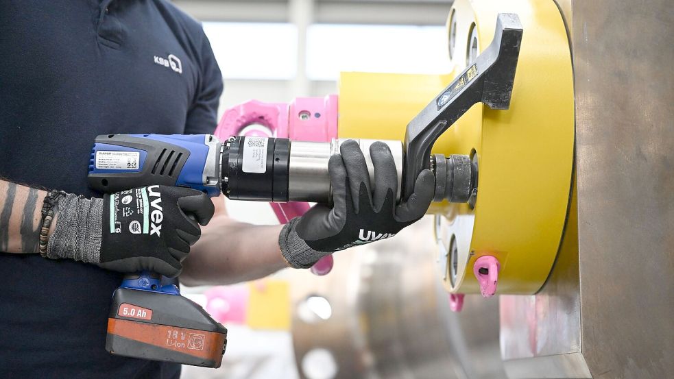 Qualifikation, Bildungsstand und Berufserfahrung sind nach Angaben von Experten wesentliche Faktoren beim Gehalt. (Symbolbild) Foto: Bernd Weißbrod