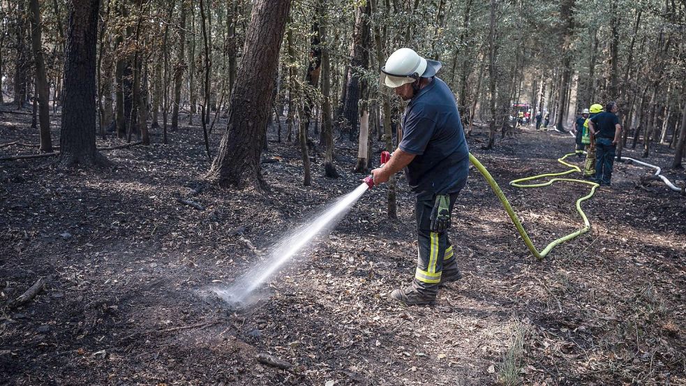 Zuletzt musste die Feuerwehr im Hürtgenwald nur noch Glutnester löschen. (Archivbild) Foto: Christian Knieps