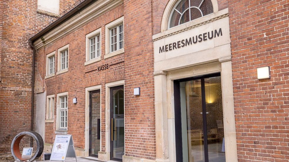 Rund vier Monate nach der Bergung des vor der Ostseeküste geborgenen Buckelwals „Timmy“ sieht sich das Deutsche Meeresmuseum in Stralsund immer noch Anfeindungen ausgesetzt. (Archivbild) Foto: Jens Büttner