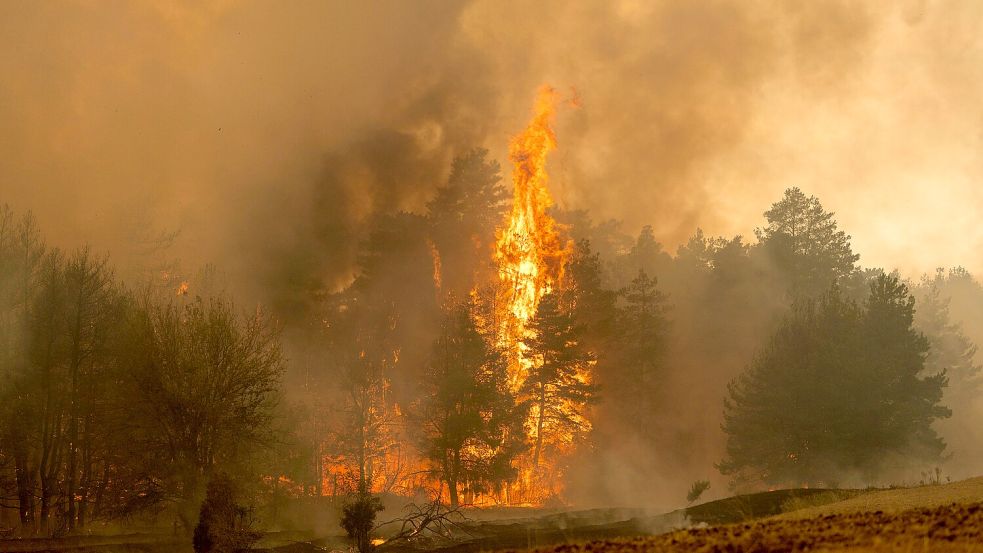 Ein gewaltiger Waldbrand wütet seit Wochen im serbischen Naturschutzgebiet „Deliblatska pescara". Das Land holt sich Hilfe aus Russland und von der EU. Foto: dpa/ZUMA Press Wire | Marko Dimic
