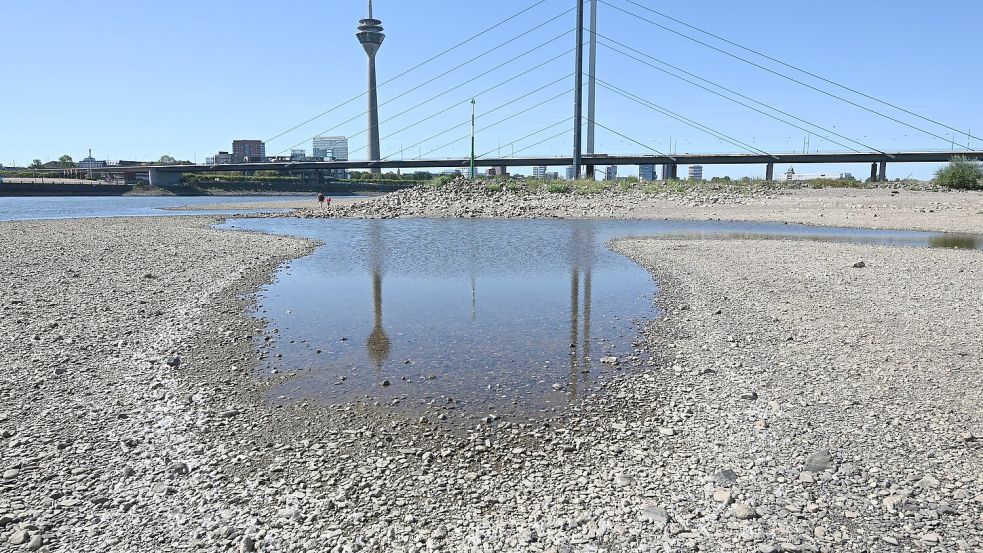 Das Niedrigwasser im Rhein bremst die deutsche Wirtschaft. (Archivbild) Foto: Federico Gambarini