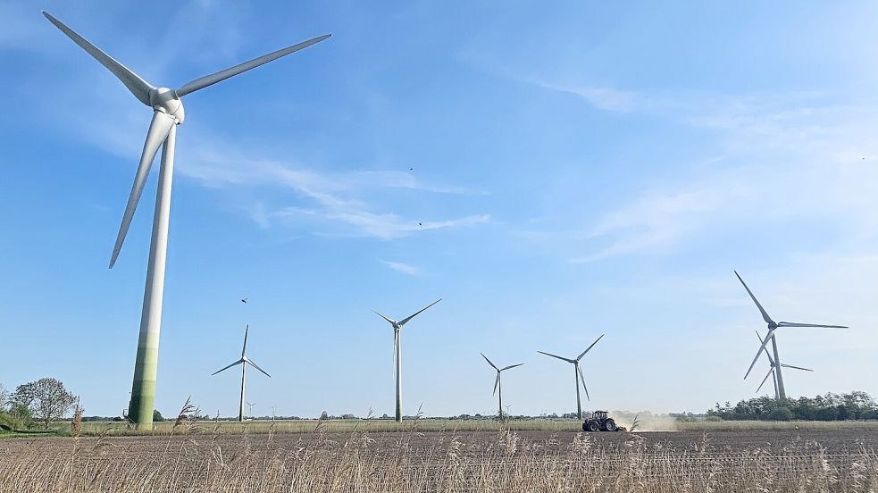 Der bislang einzige Brookmerlander Windpark steht in der Gemeinde Osteel. Er soll erweitert werden. Foto: Sarah Dirks