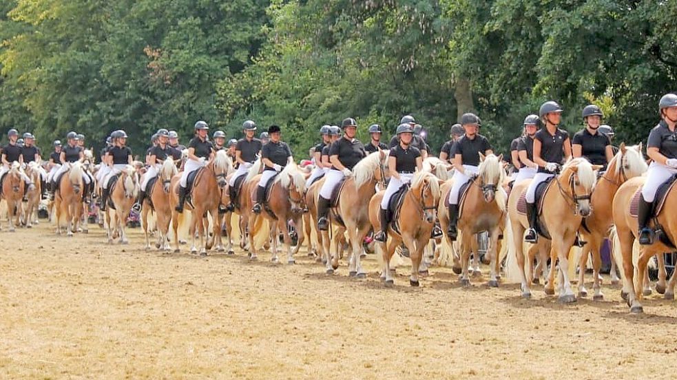 152 Pferde sollten in Aachen gemeinsam eine Quadrille reiten. Für die Zuschauer war es ein beeindruckendes Bild. Foto: Privat