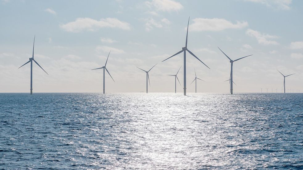 Der Windpark Borkum Riffgrund 3 hat eine installierte Leistung von 913 Megawatt. Foto: Ørsted