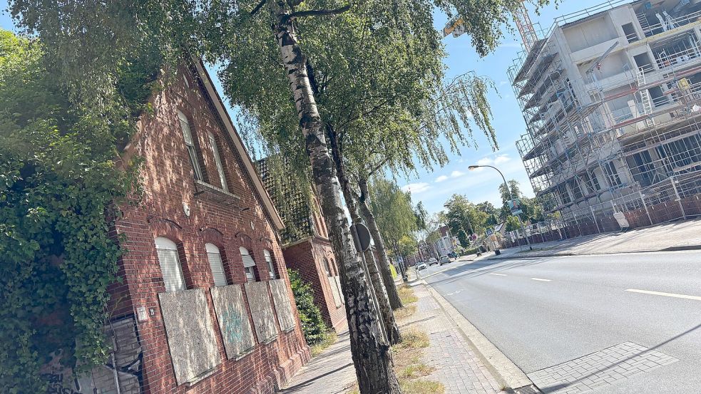 Links sind die leerstehenden Häuser, rechts wird der Neubau des Klinikums Leer hochgezogen. Foto: Lars Löschen