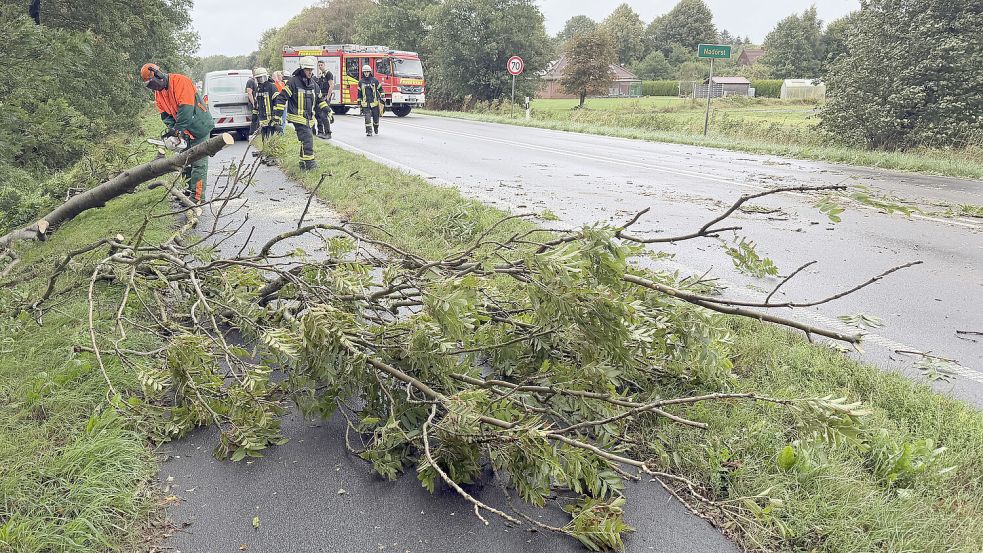 Die Feuerwehr war im Einsatz, nachdem ein Baum auf ein Auto gestürzt war. Foto: Feuerwehr Norden