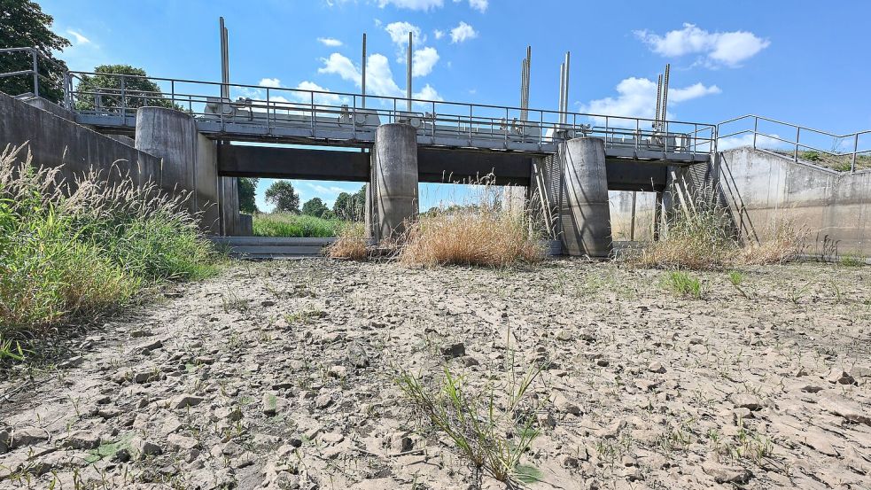 Die Wasserreserven in Deutschland werden geringer. (Archivbild) Foto: Patrick Pleul