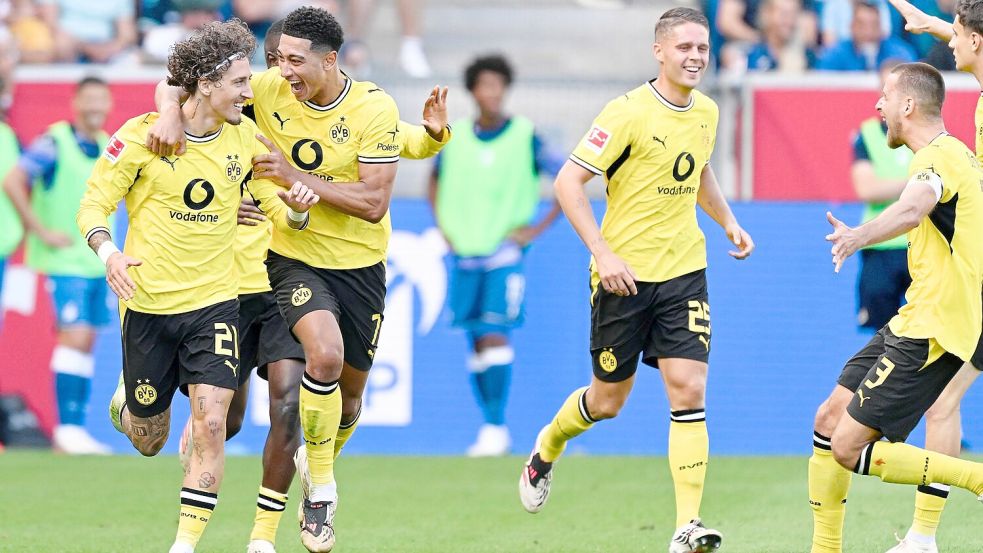 Dortmund bejubelt den 2:2-Ausgleich. Foto: Uwe Anspach