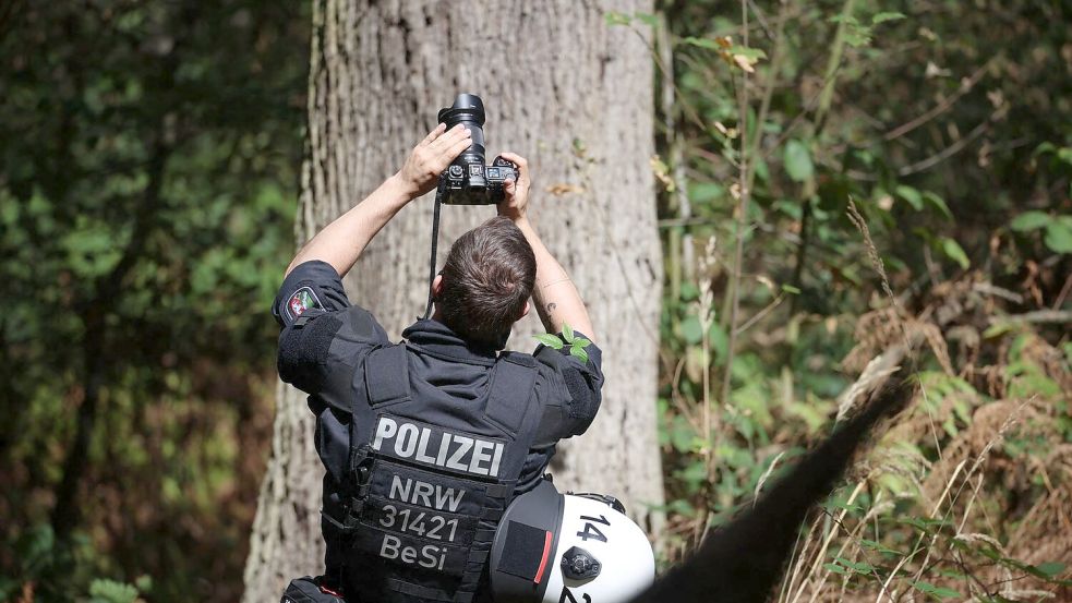 Auch mögliche Verstecke auf Bäumen werden geprüft. Foto: Christoph Reichwein/dpa