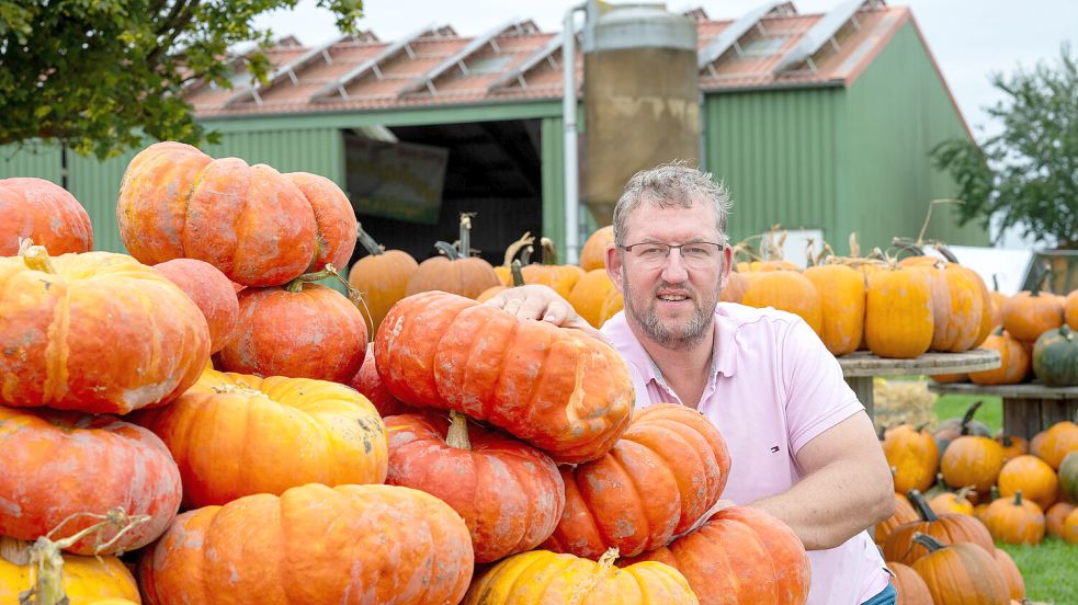 Albert Ohling lädt wieder zum Kürbismarkt auf seinen Hof ein. Die Ernte war in diesem Jahr sehr gut. Foto: Klaus Ortgies
