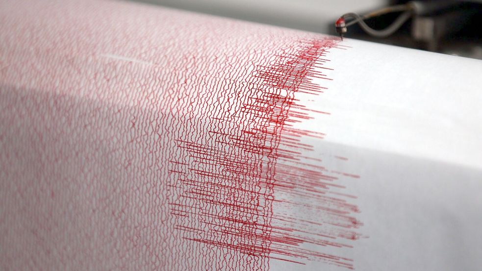 Seismographen zeichnen Erdbeben auf. (Symbolbild) Foto: Oliver Berg/dpa