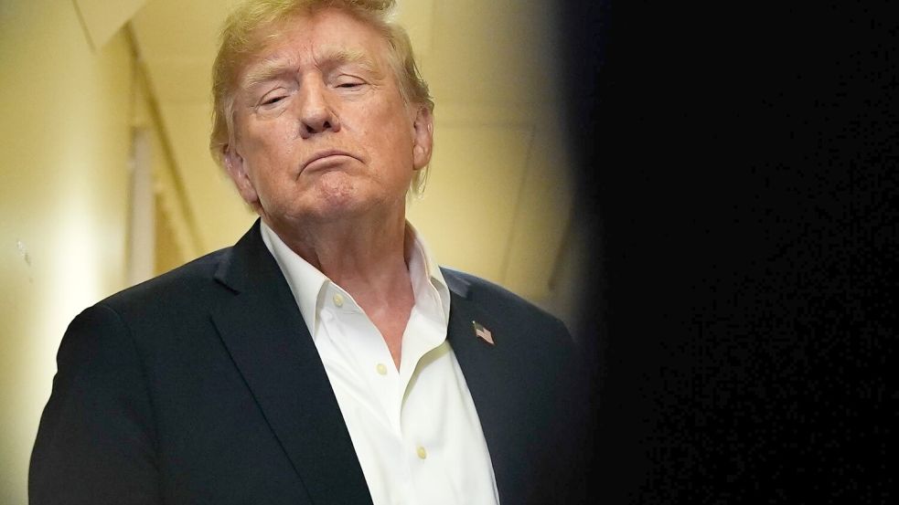 Trump spielt Gefahren von KI herunter. (Archivbild) Foto: Julia Demaree Nikhinson