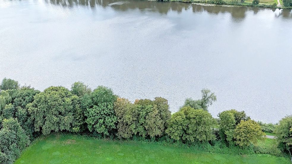 Auf dieser Fläche am Vechtesee sollen neue Freizeitangebote entstehen. default Foto: Stadt Nordhorn