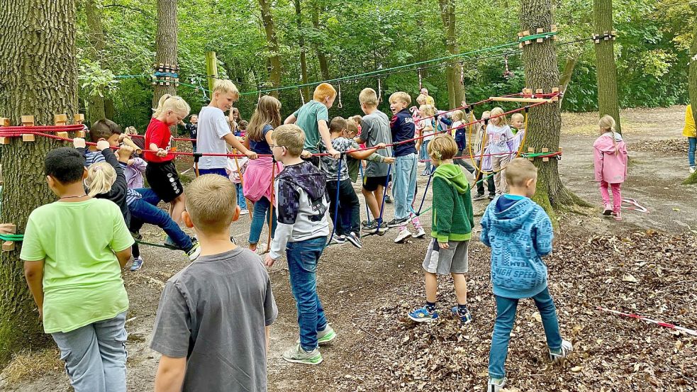 Endlich ist es soweit: Die Grundschüler aus Möhlenwarf erobern ihren neuen Niedrig-Seilgarten. Foto: privat