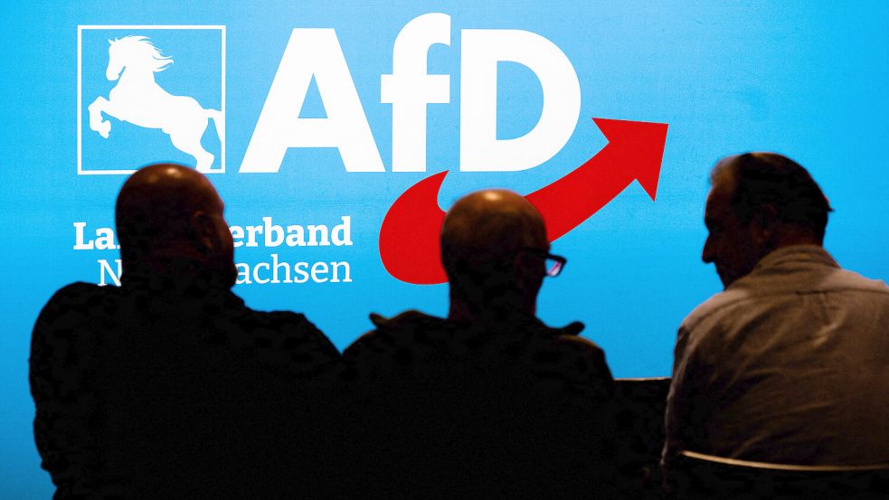 Die AfD kann nach der Kommunalwahl in Niedersachsen nicht alle Mandate besetzen, weil die Partei nicht genügend Bewerber für die Listen fand. Foto: dpa/ Julian Stratenschulte