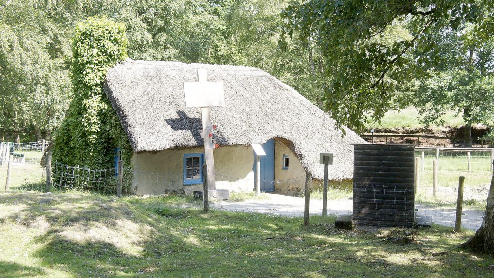 Die Reetdächer einiger Hütten im Moormuseum Moordorf müssen repariert werden. Foto: Holger Janssen