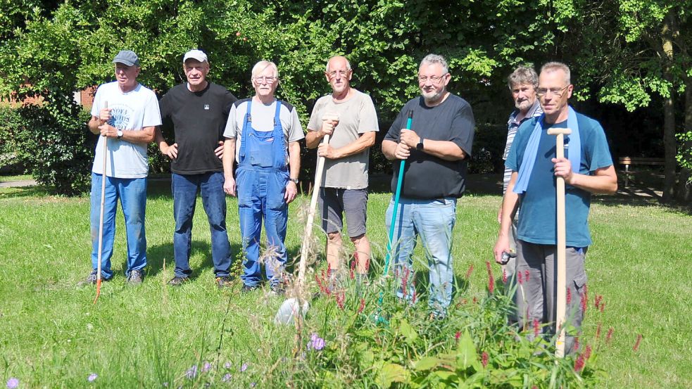 Gerhard Hommers (von links), Rainer Bronn, Johann Liebel, Alfred Möhlenkamp, Günter Harms, Manfred Plöger und Martin Sinning im Einsatz gegen den Wildwuchs. Foto: Bodo Wolters