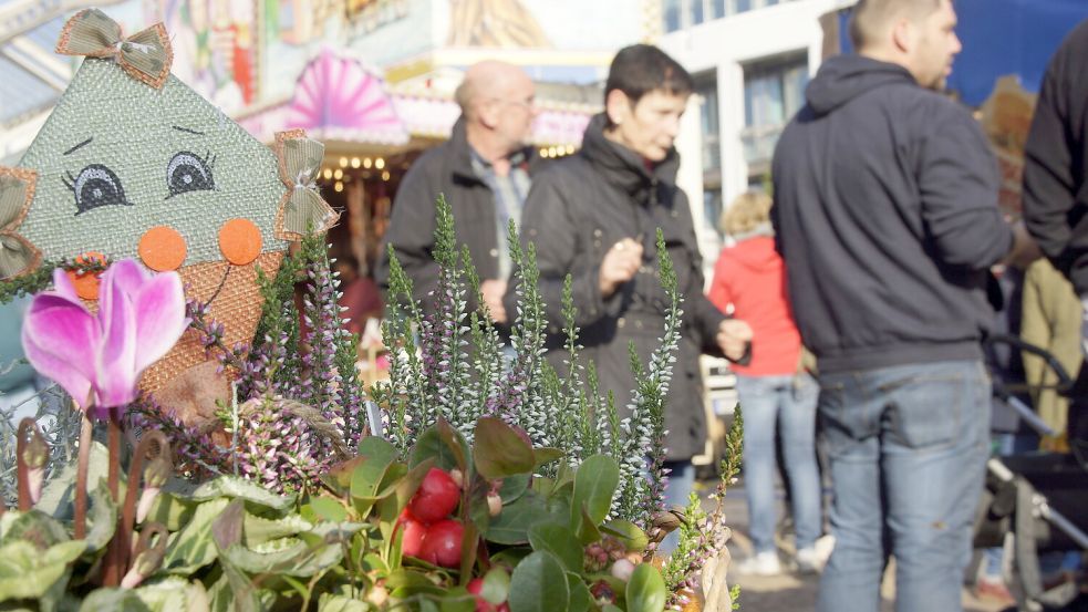 Der Heidemarkt am Sonntag verspricht bunte Herbstvielfalt an Pflanzen und verkaufsoffene Geschäfte. Archivfotos