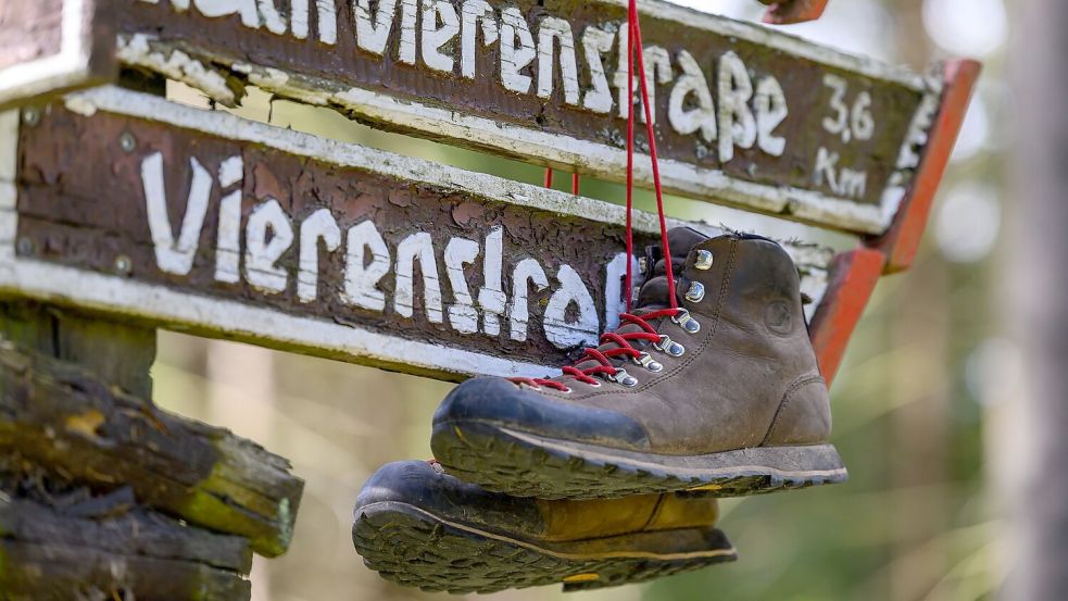 Das Image des Wanderns hat sich einer Studie zufolge seit den 1990er Jahren „von einer eher betulichen zu einer Lifestyle-orientierten Freizeitaktivität“ gewandelt.  Foto: Hendrik Schmidt/dpa