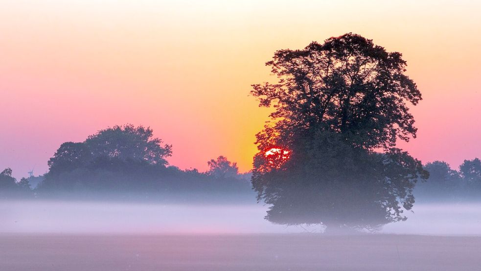 Zum Herbstanfang noch viel Sonnenschein und milde Temperaturen Foto: Jens Büttner/dpa-Zentralbild/dpa