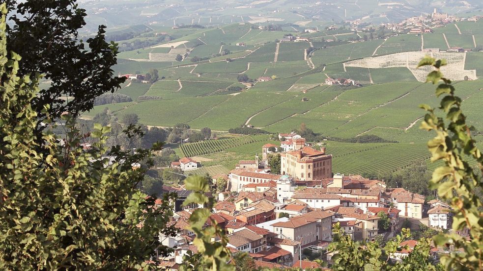 Der Barolo aus der Umgebung der gleichnamigen Gemeinde gehört zu den berühmtesten Weinen der Welt. (Archivbild) Foto: Bernhard Krieger/dpa-tmn
