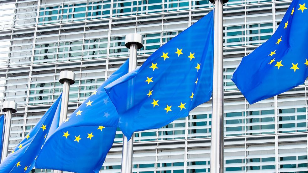 Wer ausgewählt wird, kann ab dem 1. März 2027 bis zu 30 Tage lang Europa erkunden. (Symbolbild) Foto: Alicia Windzio/dpa