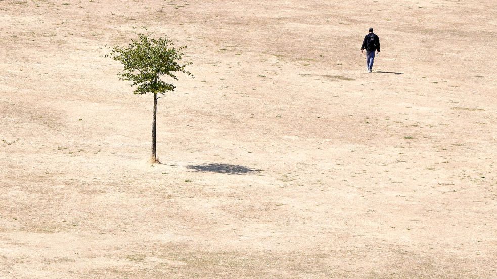 Die Hitzewelle des vergangenen Sommers wirkt sich auch auf die Konjunktur aus. (Symbolbild) Foto: Kirsty Wigglesworth/AP/dpa