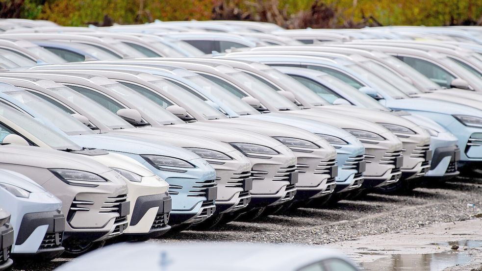Elektrofahrzeuge von Byd stehen im Hafengebiet von Wilhelmshaven. Chinesische Hersteller drängen weiter auf den EU-Automarkt. (Archivbild) Foto: Hauke-Christian Dittrich/dpa
