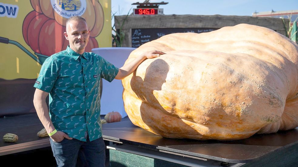 Der schwerste Kürbis bei der Kürbiswiegemeisterschaft in Klaistow von Oliver Grafe ist rund 942 Kilogramm schwer. Foto: Christophe Gateau/dpa