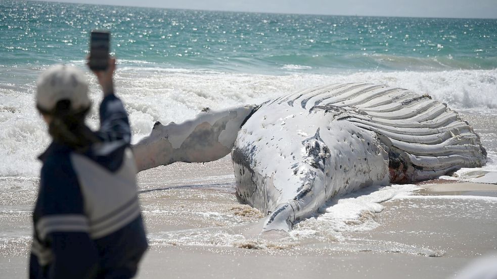 Der City Beach in Perth bleibt vorläufig für Badegäste geschlossen. Foto: Aaron Bunch/AAP/dpa