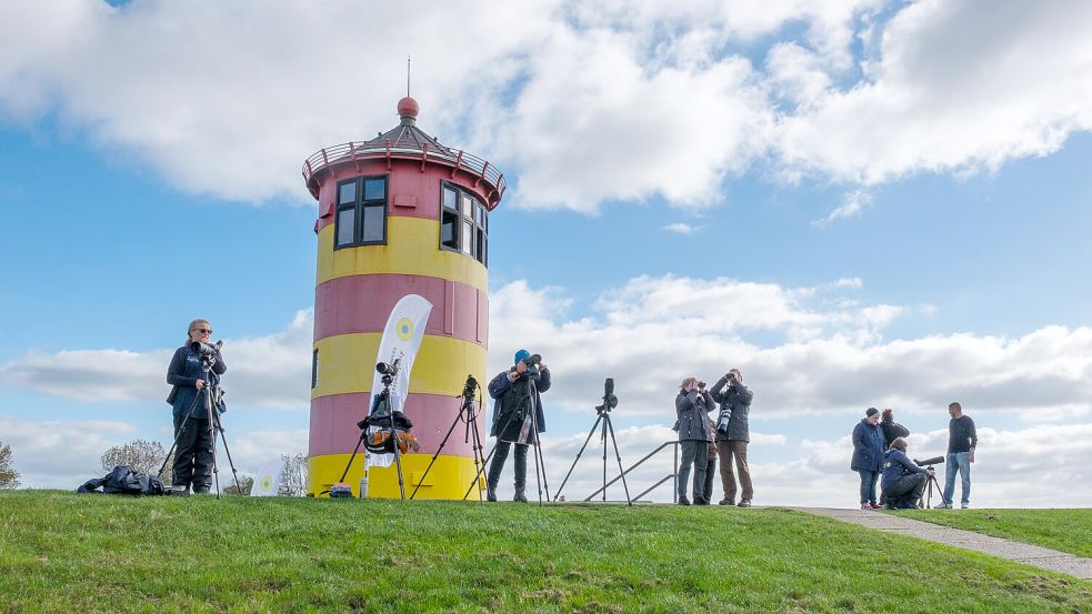 Auch in diesem Jahr stehen während der Zugvogeltage im Nationalpark Niedersächsisches Wattenmeer wieder Fachleute am Pilsumer Leuchtturm und den weiteren Beobachtungsstationen bereit, um spannende Infos zu den Zugvögeln und Tipps bei der Vogelbeobachtung zu teilen. Foto: Wolfgang Strecker