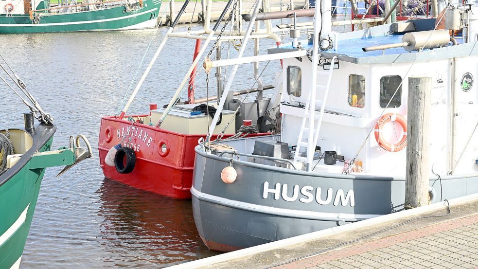 Mehrere Kutter aus Schleswig-Holstein haben im Greetsieler Hafen festgemacht. Foto: Heinz Wagenaar