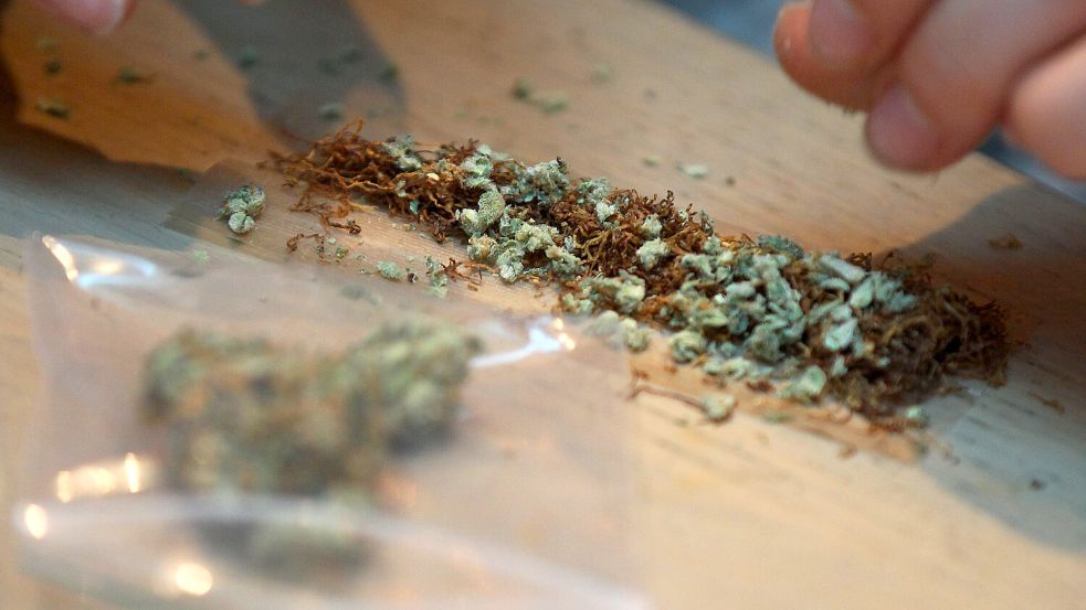 Der Angeklagte aus Südbrookmerland handelte unter anderem mit Cannabis. Symbolfoto: Oliver Berg/dpa