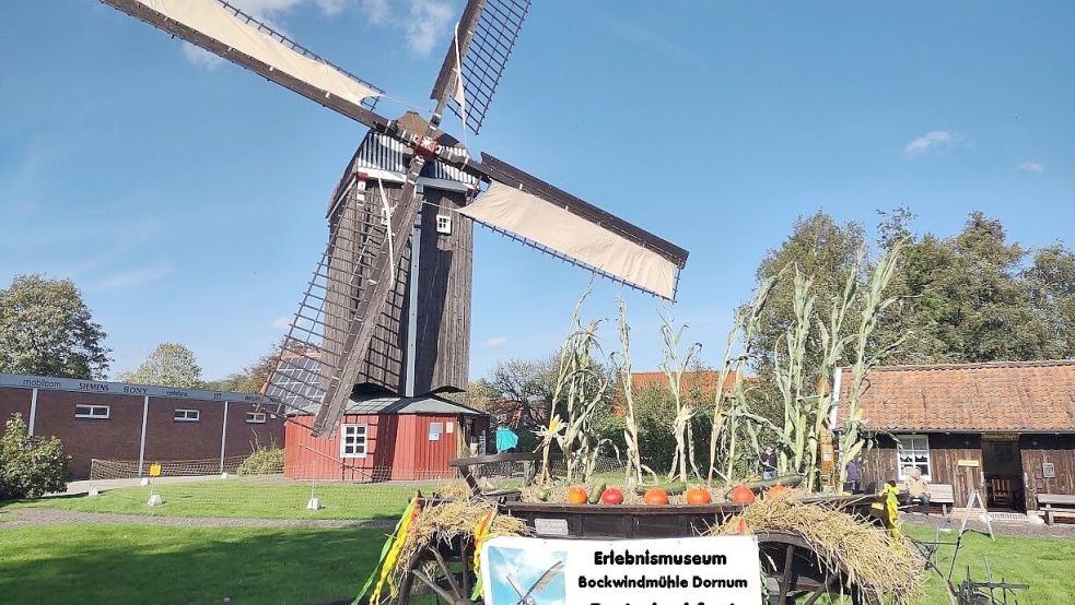 Am Fuße der Bockwindmühle in Dornum wird am Sonntag Erntedank gefeiert. Foto: Erlebnismuseum Bockwindmühle Dornum