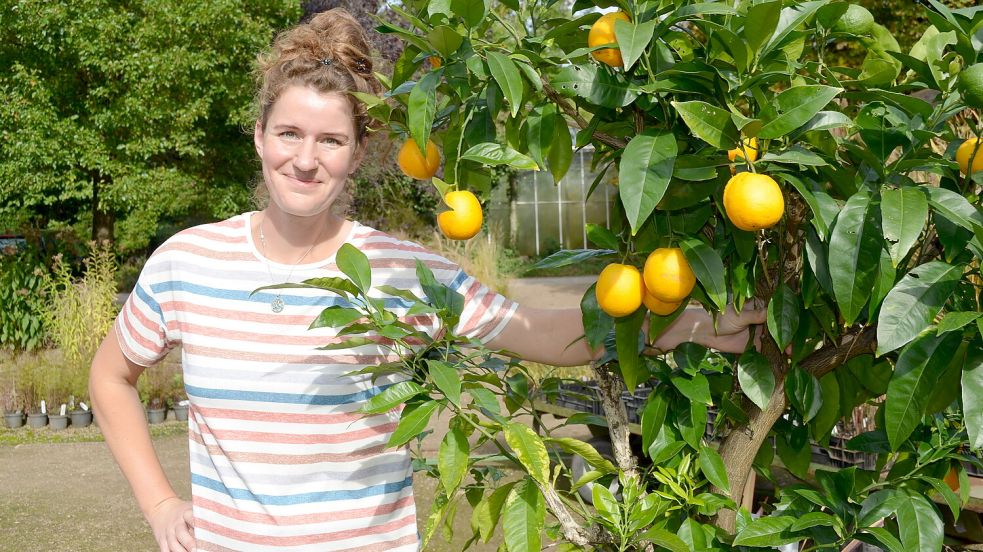 Silke Sandrowski steht neben einem Zitrusbaum in der Staudengärtnerei Mühring in Völlenerfehn. Nach dem Tod ihres Chefs, des Gartenbauingenieurs Gerhard Mühring, der Ende 2022 starb, hat die 39-Jährige die Verantwortung für den Betrieb übernommen. Foto: Astrid Fertig
