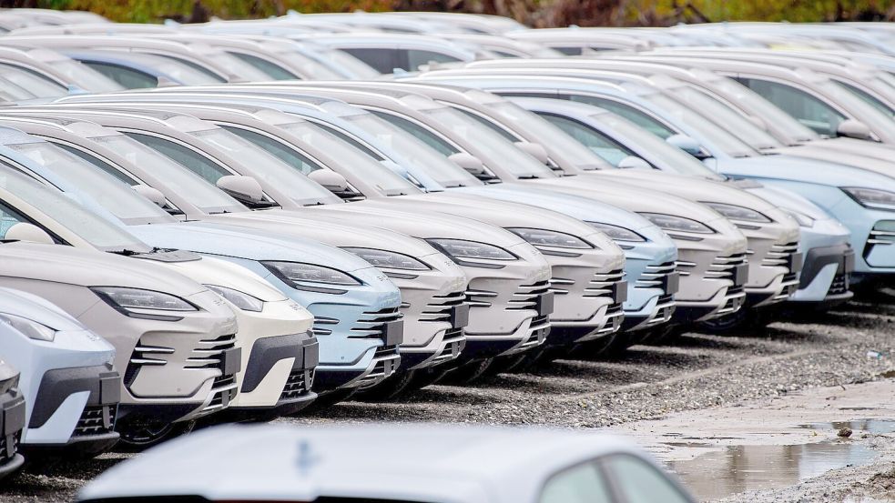 Elektroautos von BYD. Die chinesische Autoindustrie setzt der europäischen Industrie mit ihrer Exportoffensive zu. (Symbolbild) Foto: Hauke-Christian Dittrich/dpa