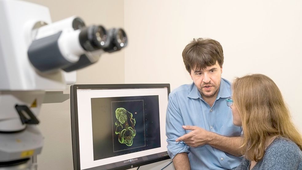 „Unglaublich überraschend und beglückend“, sagt der Forscher über die Ehrung. Foto: Steve Fisch/Stanford University/dpa