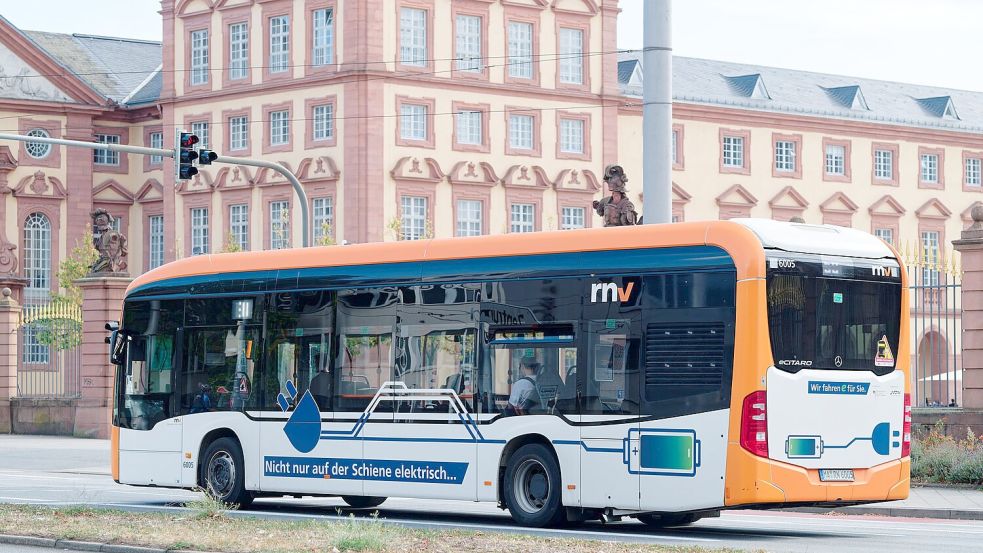 Mannheim zählt mit Freiburg und Karlsruhe zu den Spitzenreitern bei der Umstellung auf batteriebetriebene Elektrobusse. (Archivbild)   Foto: Uwe Anspach/dpa