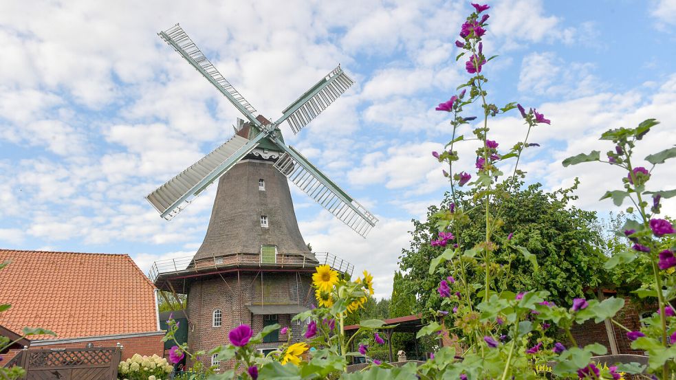 Die denkmalgeschützte Mühle in Jemgum bekommt einen neuen Eigentümer. Foto: Klaus Ortgies/Archiv