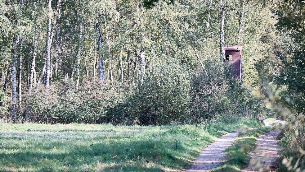 Ein Jäger hatte das fragliche Tier im Notzinger Moos durch eine Wärmebildkamera beobachtet. (Archivbild) Foto: Peter Kneffel/dpa