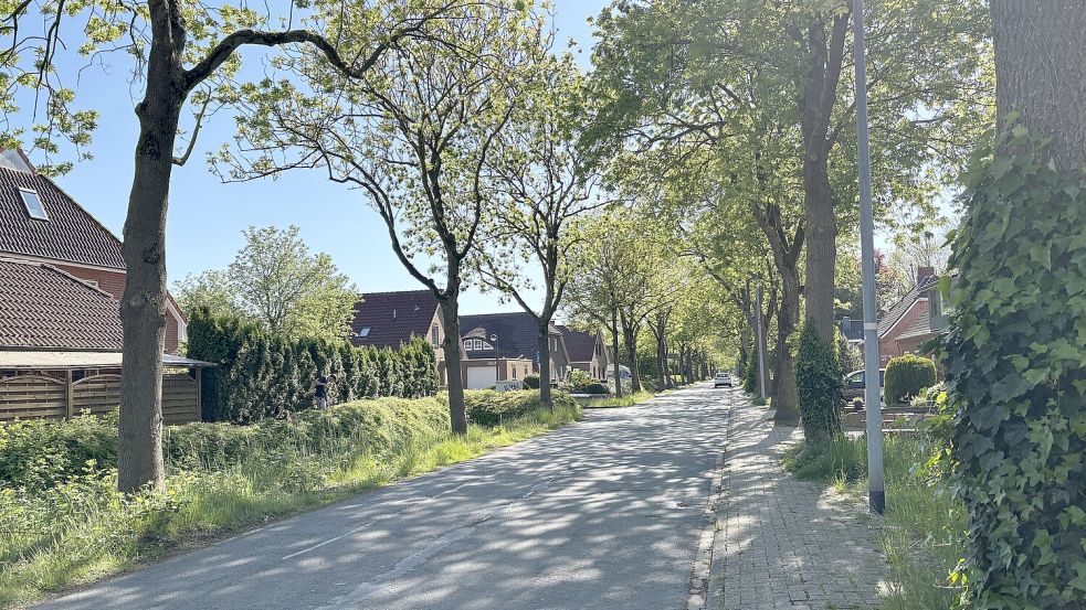 Die Hauptstraße in Larrelt wird in den Herbstferien teilsaniert. Foto: Carla Ludwigs/Archiv
