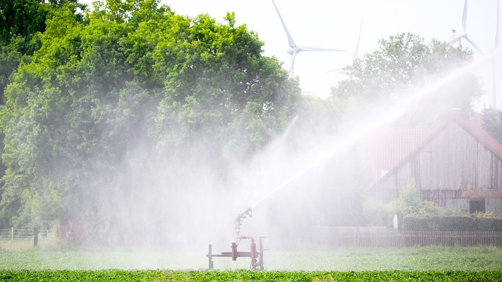 Wasser war auch in diesem Sommer knapp für viele Landwirte. Das Bild entstand 2025 in der Region Hannover. Ein Wassersprenger bewässert ein Kartoffelfeld. Foto: Julian Stratenschulte/dpa