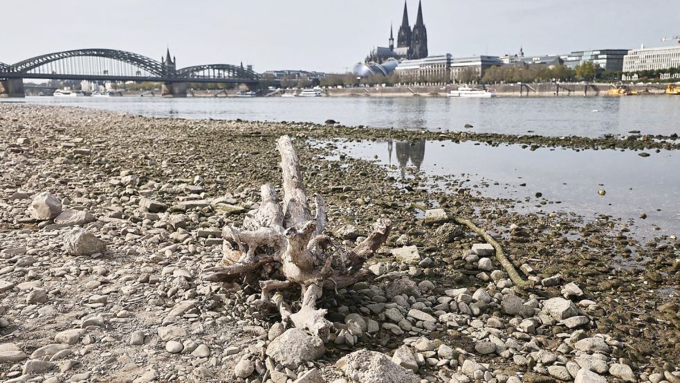 Auch viele deutsche Flüsse hatten sehr niedrige Pegelstände. (Symbolbild)  Foto: Oliver Berg/dpa