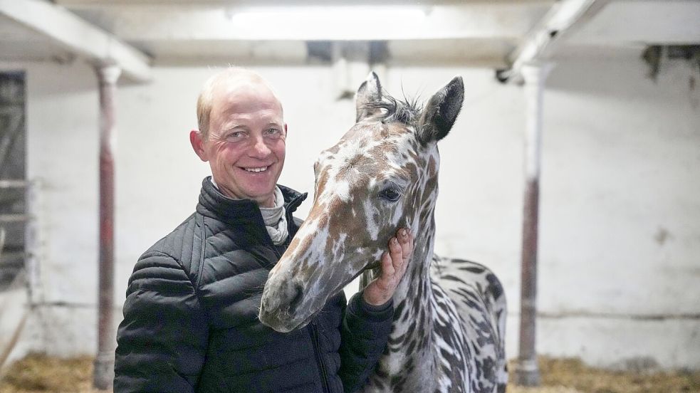 Ein Mann und sein Zebra? Nein: Es ist ein Pferd.  Foto: Sven Kaeuler/dpa