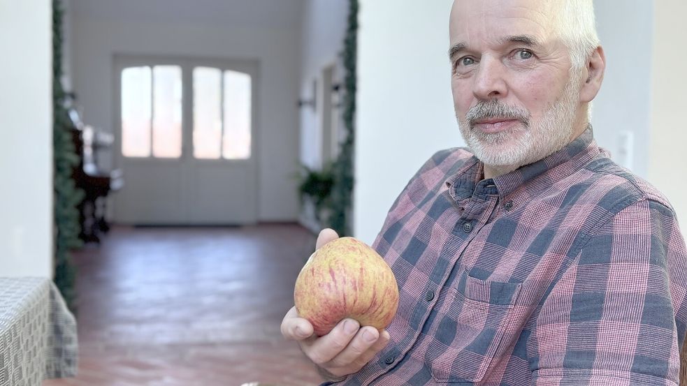 Nur ein Apfel blieb übrig: Otto Ihnen hält einen Apfel der Sorte „Horneburger Pfannkuchenapfel“ in der Hand. Foto: Christin Wetzel