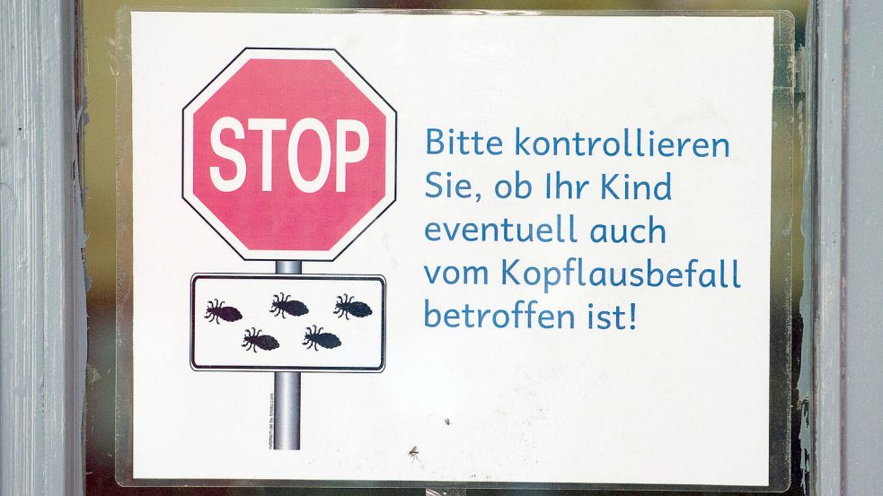 An vielen Kitas und Schulen kommen immer wieder Läuse vor. Foto: dpa/Sebastian Kahnert